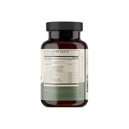 TERRA ORIGIN Digestive Enzymes with Probiotics & Prebiotics | 60 Capsules | Supports Digestive Gut Health | Non GMO, Gluten Free, - PrimeBioHealth - canada supplements