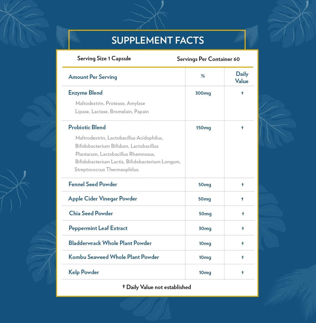 TERRA ORIGIN Digestive Enzymes with Probiotics & Prebiotics | 60 Capsules | Supports Digestive Gut Health | Non GMO, Gluten Free, - PrimeBioHealth - canada supplements