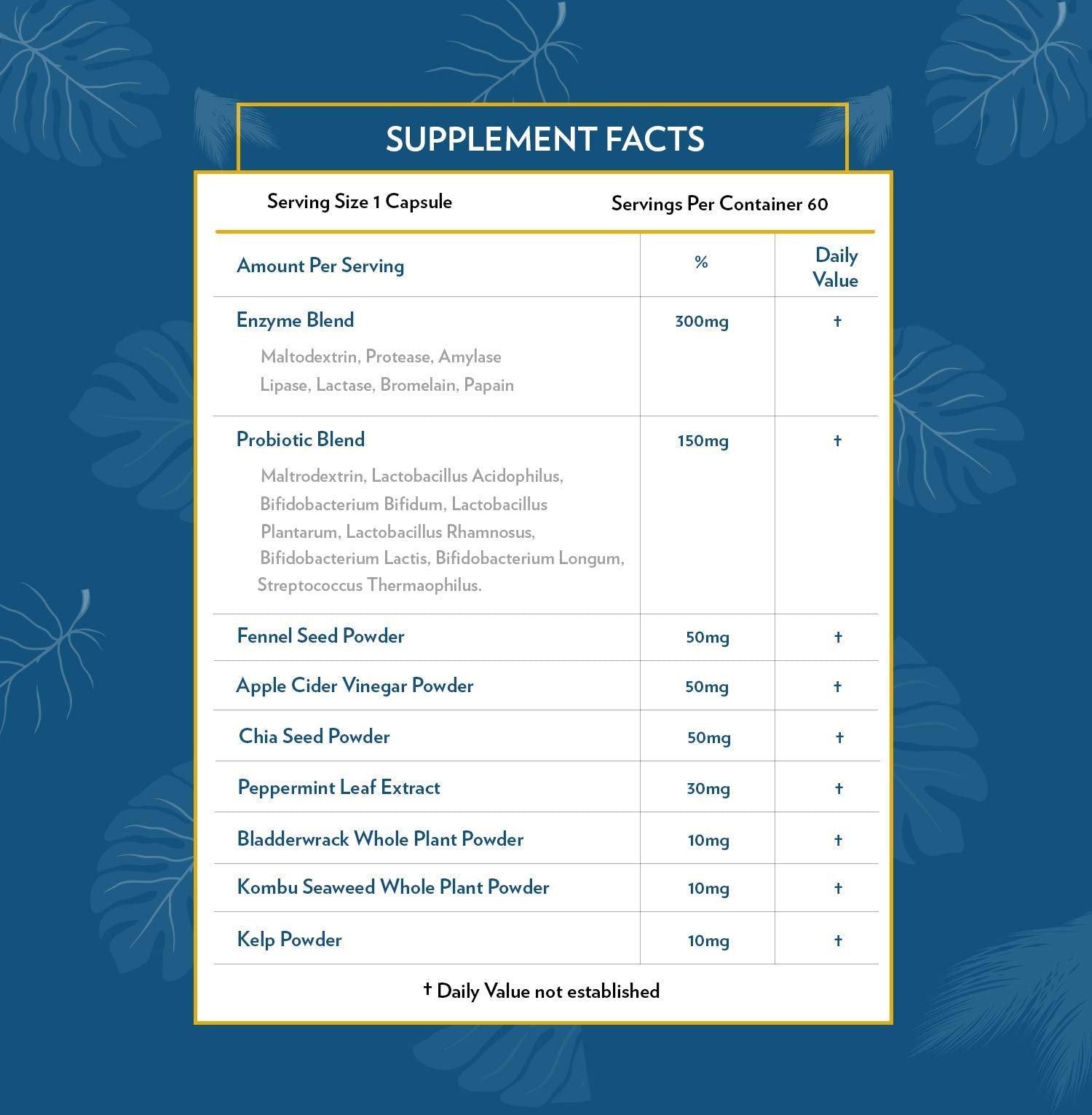 TERRA ORIGIN Digestive Enzymes with Probiotics & Prebiotics | 60 Capsules | Supports Digestive Gut Health | Non GMO, Gluten Free, - PrimeBioHealth - canada supplements