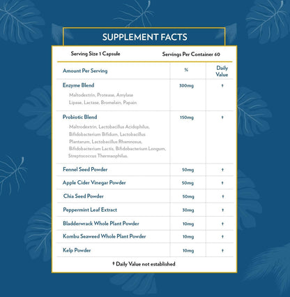 TERRA ORIGIN Digestive Enzymes with Probiotics & Prebiotics | 60 Capsules | Supports Digestive Gut Health | Non GMO, Gluten Free, - PrimeBioHealth - canada supplements