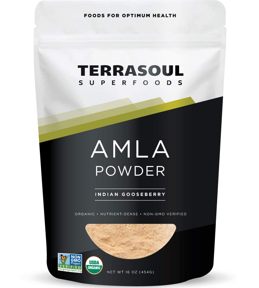 Terrasoul Superfoods Organic Amla Berry Powder (Amalaki), 16 Oz - Rich in Antioxidant Vitamin C | Supports Immunity - PrimeBioHealth - canada supplements
