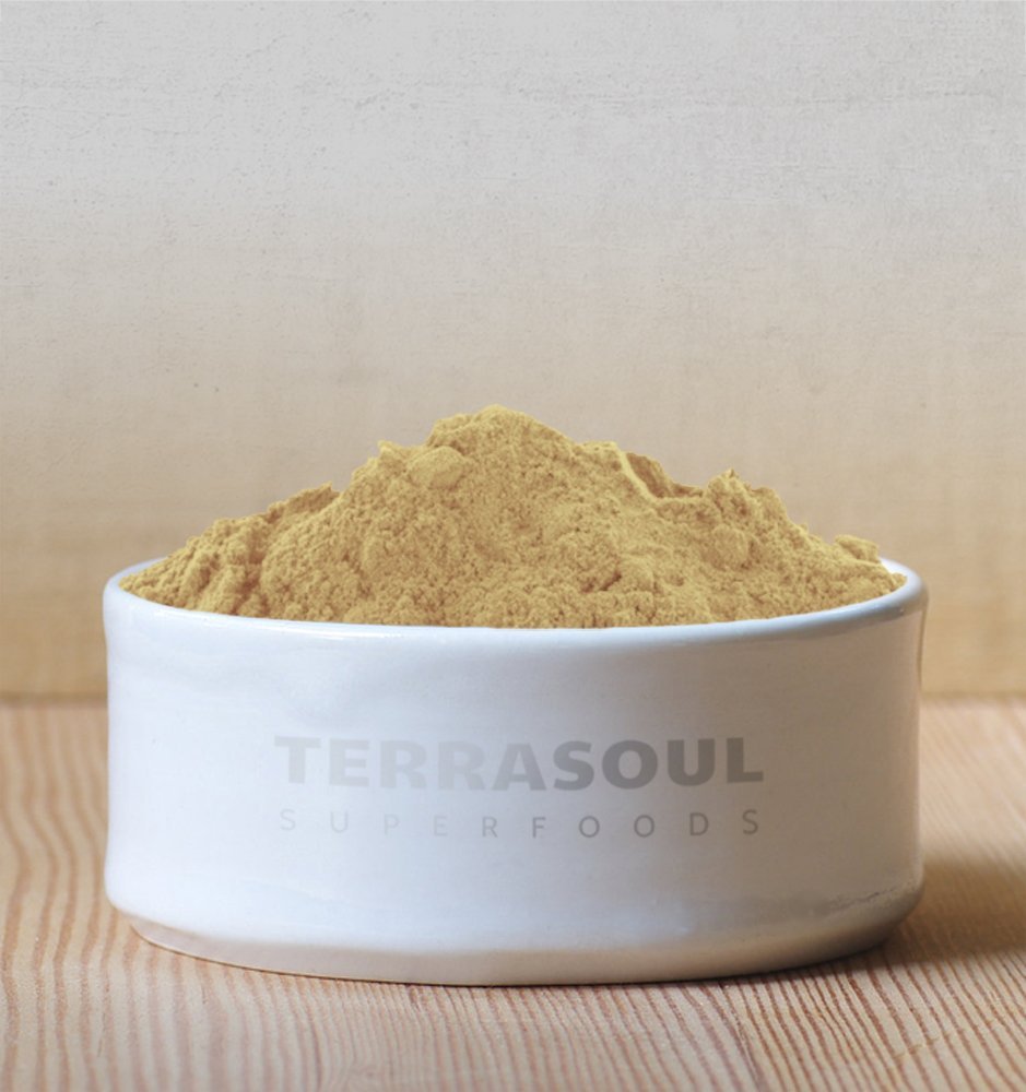 Terrasoul Superfoods Organic Amla Berry Powder (Amalaki), 16 Oz - Rich in Antioxidant Vitamin C | Supports Immunity - PrimeBioHealth - canada supplements