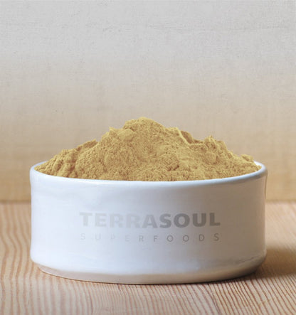 Terrasoul Superfoods Organic Amla Berry Powder (Amalaki), 16 Oz - Rich in Antioxidant Vitamin C | Supports Immunity - PrimeBioHealth - canada supplements