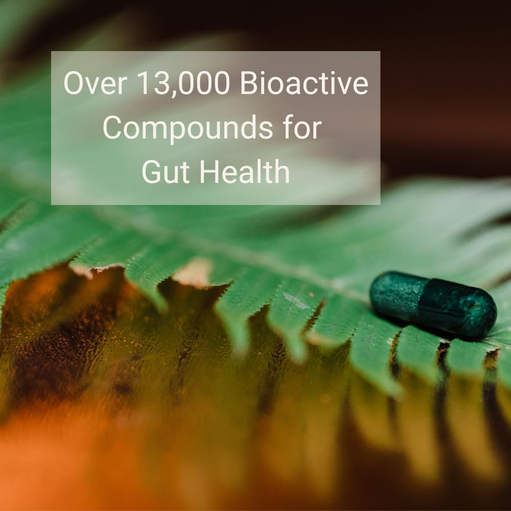 Thaena ThaenaBiotic Postbiotic - World's First Human-Derived Postbiotic Supplement - 30 Count - PrimeBioHealth - canada supplements