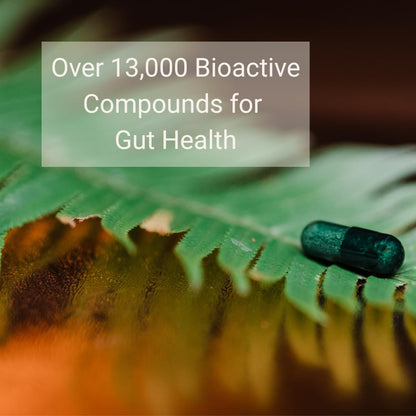 Thaena ThaenaBiotic Postbiotic - World's First Human-Derived Postbiotic Supplement - 30 Count - PrimeBioHealth - canada supplements