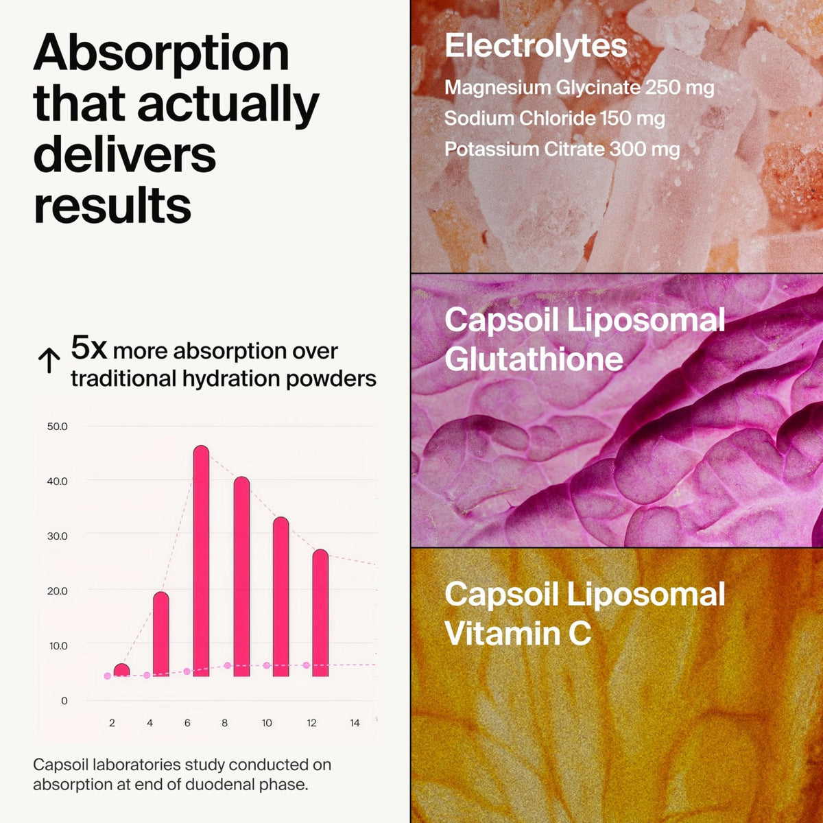 The Absorption Company Electrolyte Powder Packets - Workout Recovery & Hydration Drink Mix with Liposomal Glutathione, Vitamin C & Methylated B Vitamins - PrimeBioHealth - canada supplements