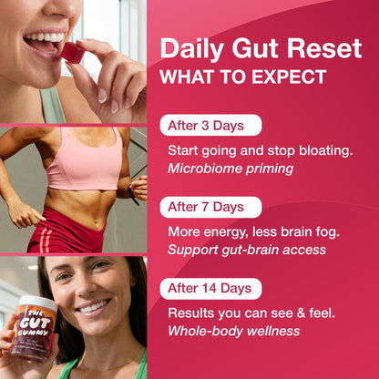 The Gut Gummy, 360° Daily Gut Reset, Full-Spectrum Tribiotic for Women & Men, Prebiotics Probiotics Postbiotics for Bloating, Belly Fat, Skin & Immune Support, Sugar Free Tart Cherry Gummies, 60 Count - PrimeBioHealth - canada supplements