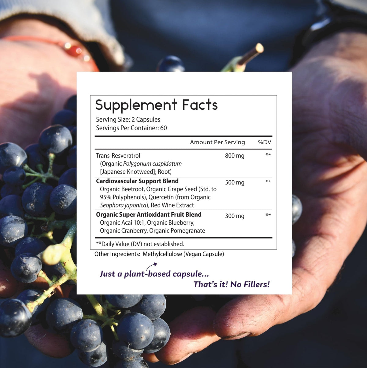 Thomas' all-natural Remedies Resveratrol 1600mg Organic Trans-Resveratrol Antioxidant Supplement with Organic Grape Seed Extract and Quercetin - PrimeBioHealth - canada supplements