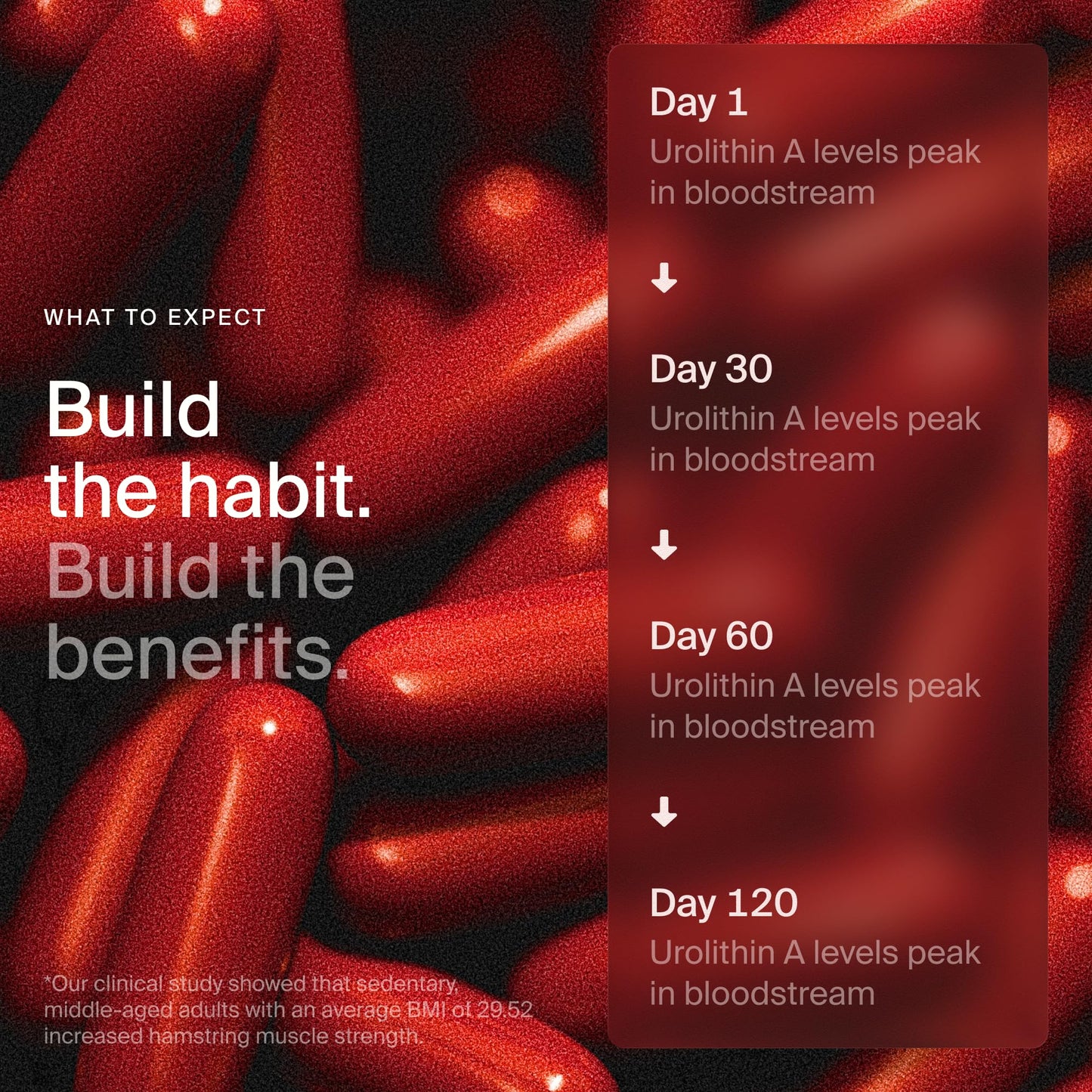 Timeline Mitopure Urolithin A Supplement Softgels - Clinically Proven Support for Healthy Aging and Cellular Renewal - PrimeBioHealth - canada supplements