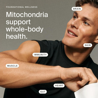Timeline Mitopure Urolithin A Supplement Softgels - Clinically Proven Support for Healthy Aging and Cellular Renewal - PrimeBioHealth - canada supplements