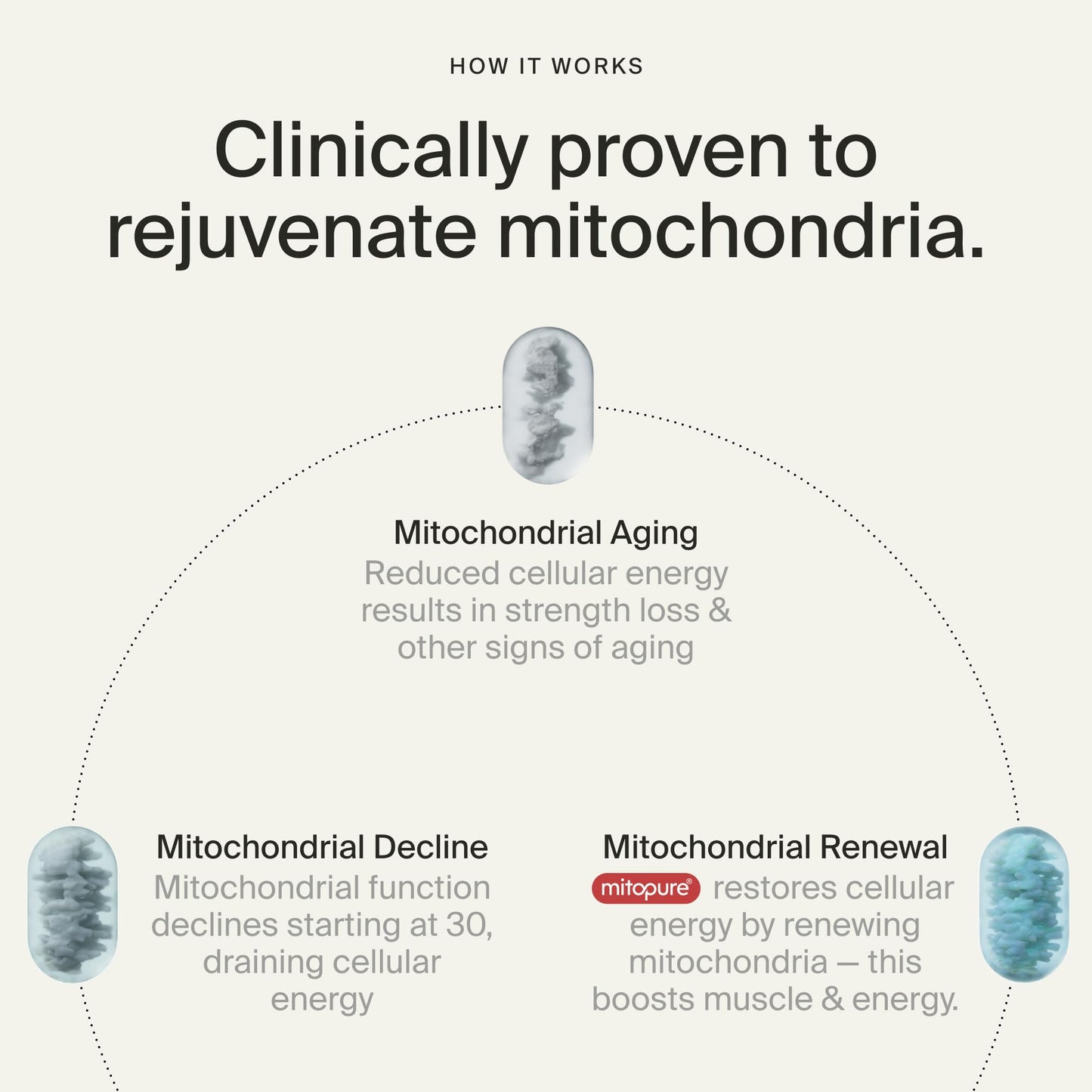 Timeline Mitopure Urolithin A Supplement Softgels - Clinically Proven Support for Healthy Aging and Cellular Renewal - PrimeBioHealth - canada supplements