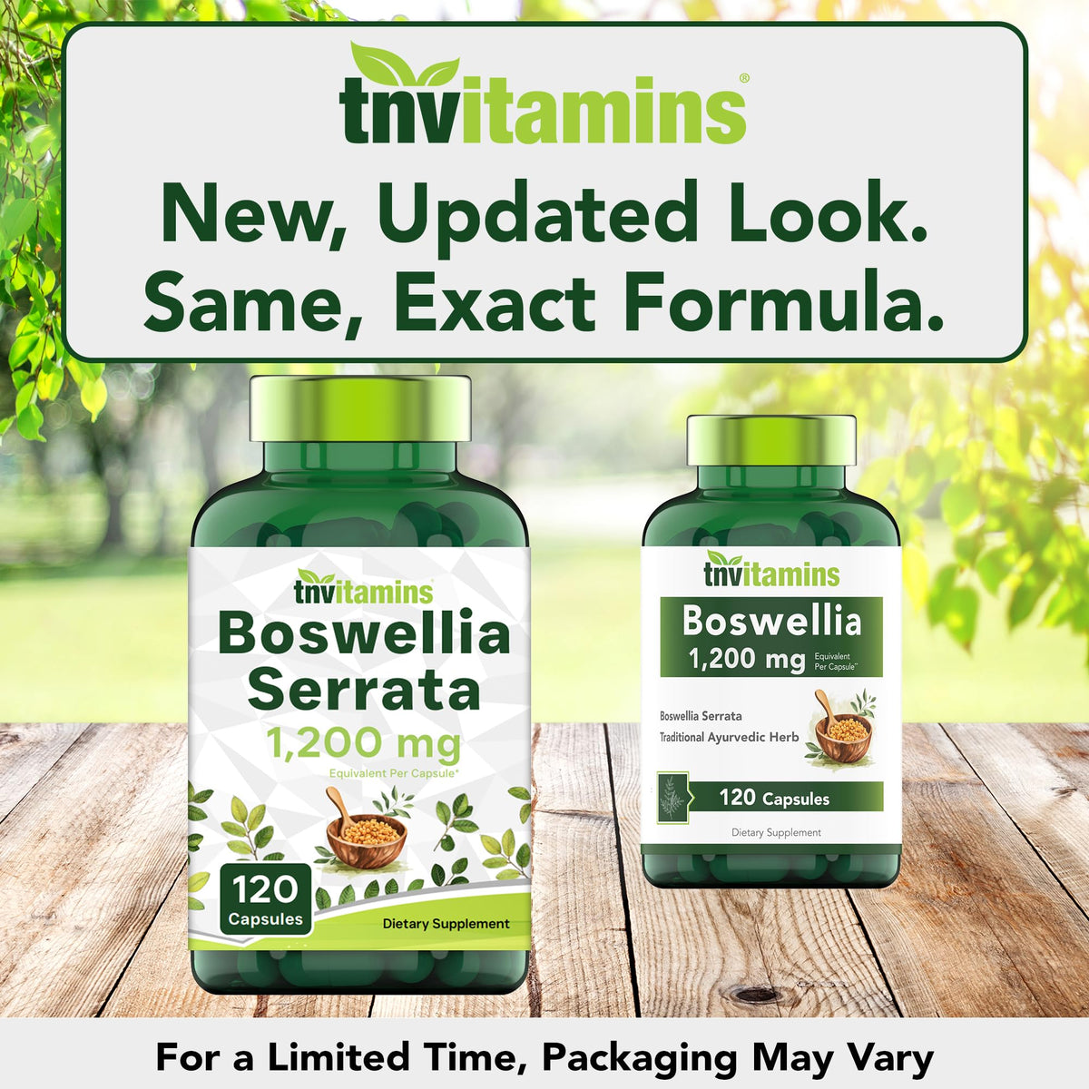 tnvitamins Boswellia Extract Capsules, 120 Count | 1,200 mg Per Capsule | 65% Boswellic Acids + 10:1 Concentrated Extract | Boswellia Serrata - PrimeBioHealth - canada supplements