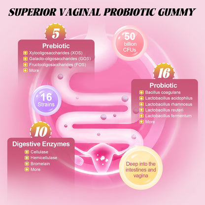Totaria Sugar Free Probiotics for Women, Feminine Balance Gummies, 50 Billion CFU Vaginal Probiotic Prebiotic w/Slippery Elm, Cranberry, for Vaginal, Urinary Tract - PrimeBioHealth - canada supplements