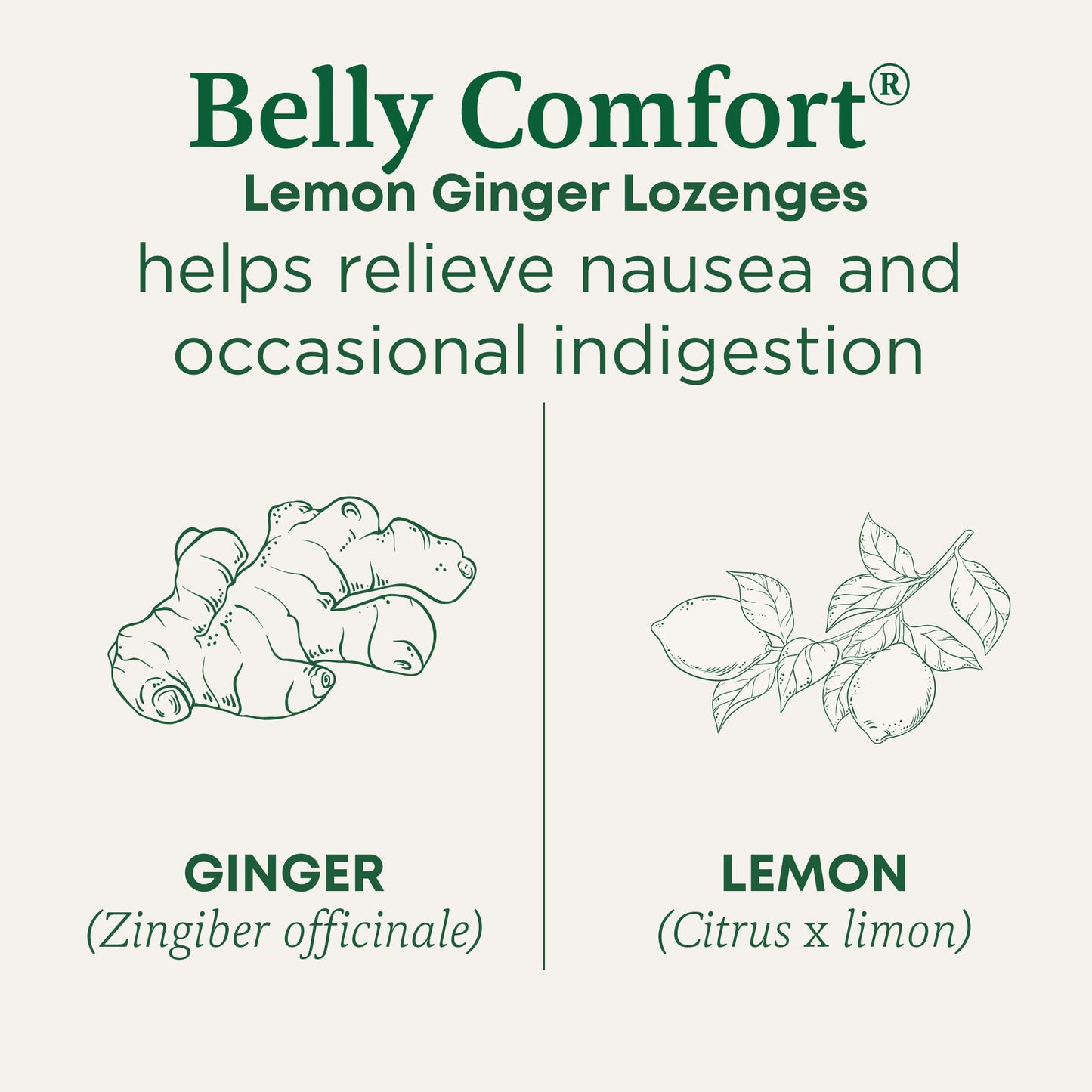 Traditional Medicinals Organic, Belly Comfort Lozenges, Lemon Ginger - Supports Nausea Relief and Occasional Indigestion - Non-GMO, Stimulant-Free - PrimeBioHealth - canada supplements