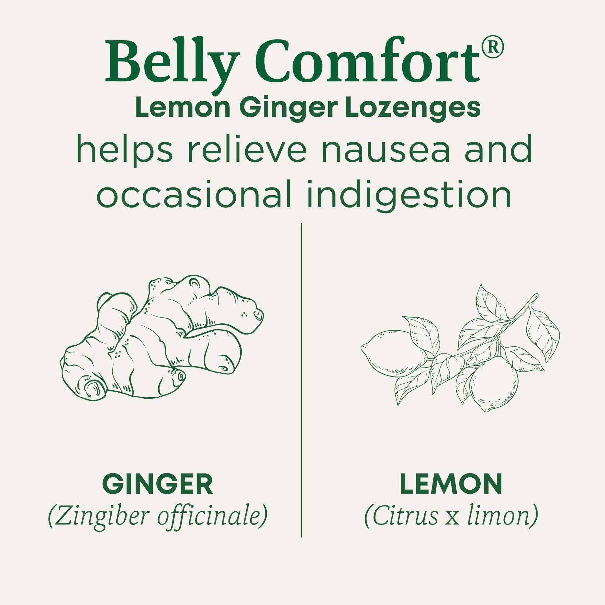 Traditional Medicinals Organic, Belly Comfort Lozenges, Lemon Ginger - Supports Nausea Relief and Occasional Indigestion - Non-GMO, Stimulant-Free - PrimeBioHealth - canada supplements