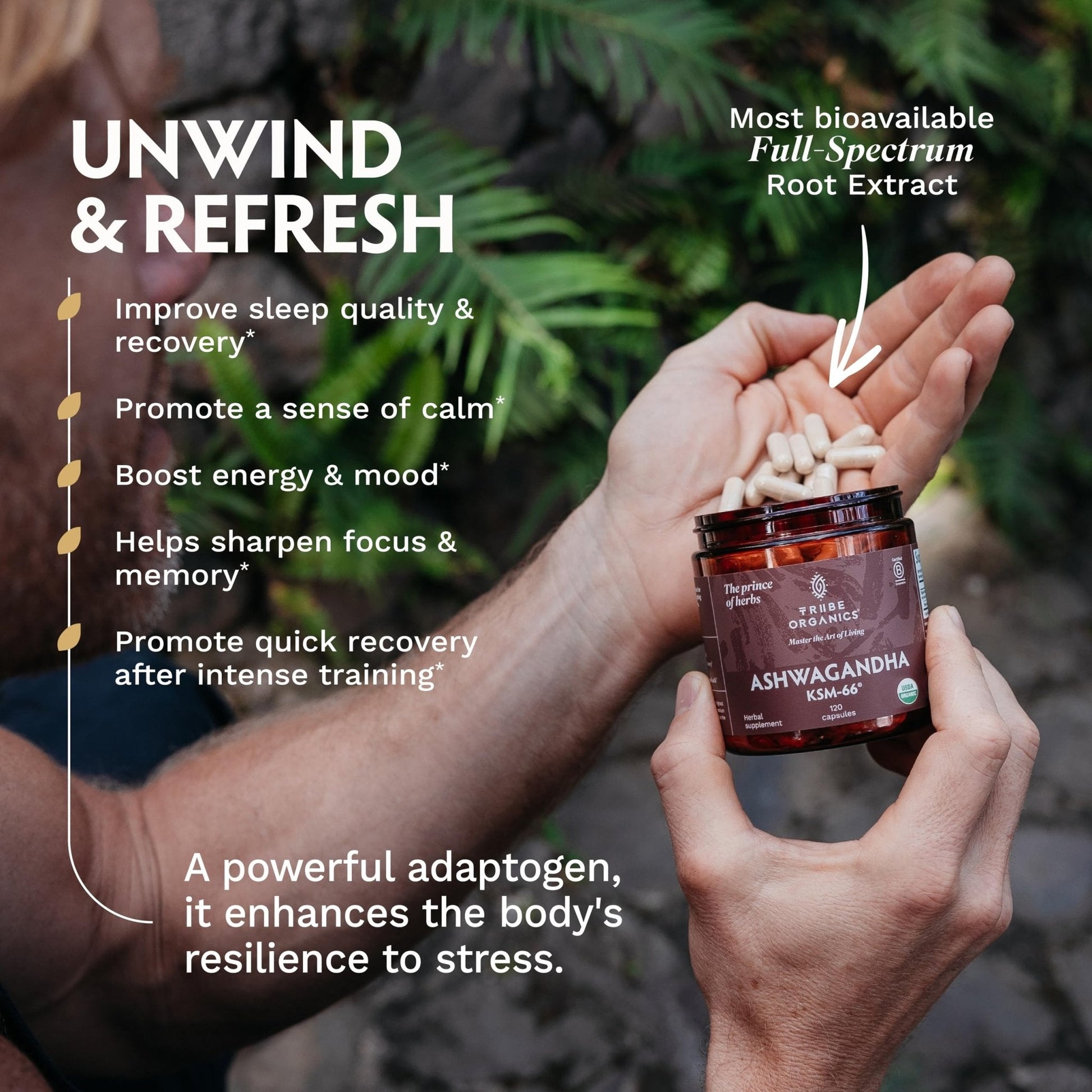 TRIBE ORGANICS Ashwagandha KSM 66 Pure Organic Root Powder Extract Ayurvedic Supplement - Focus, Mood Support, Increase Energy, Strength, 600mg of Natural KSM66 - PrimeBioHealth - canada supplements