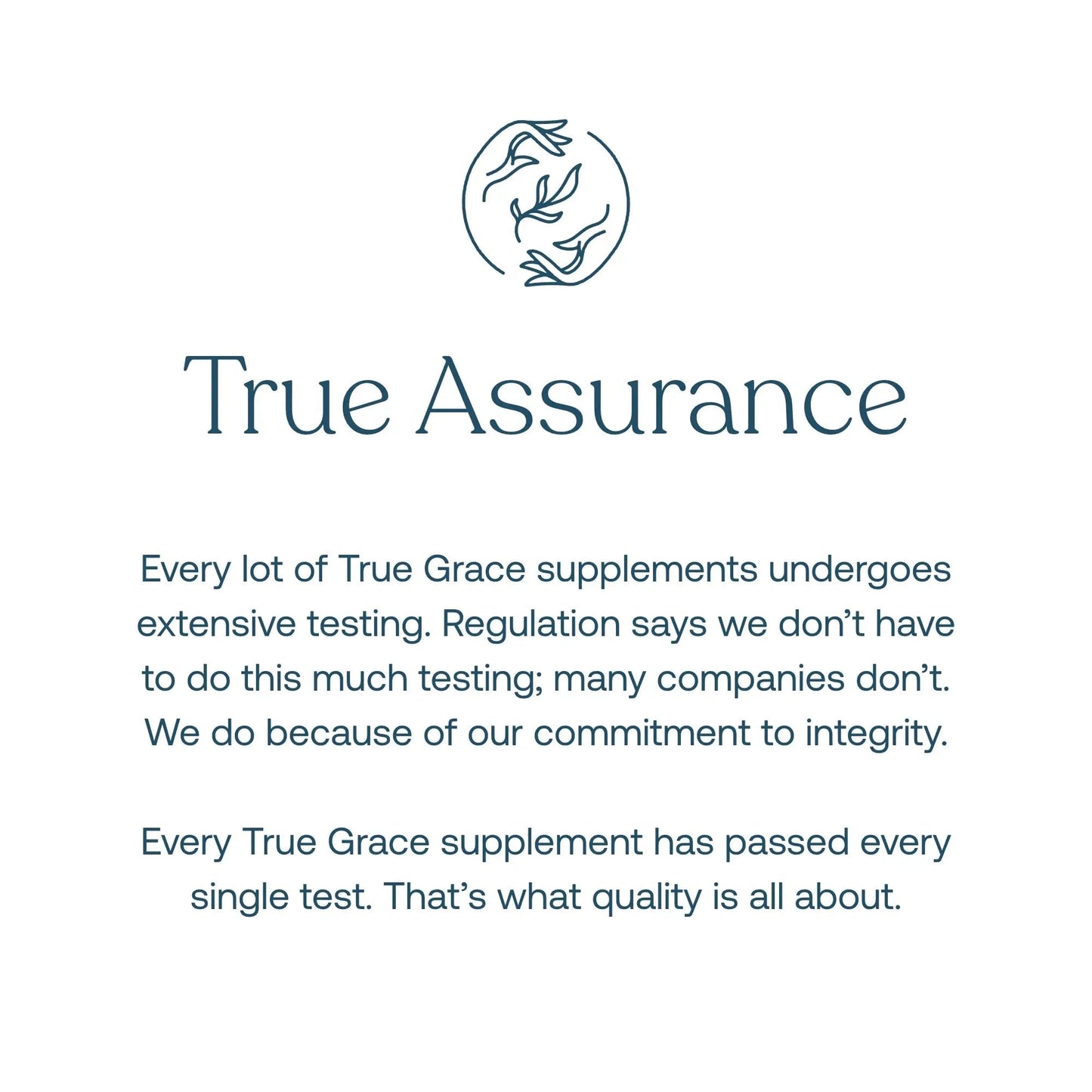 True Grace Men's 40+ One Daily Multivitamin Fermented Minerals, Organic Adaptogens & Mushrooms Whole Body Balance Immune - PrimeBioHealth - canada supplements