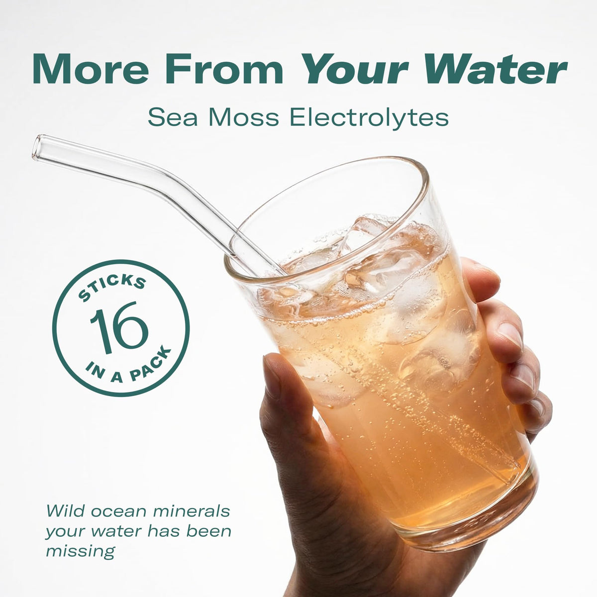 TrueSeaMoss Electrolytes Powder Packets – Made in USA – 16 Stickpacks – Hydration Powder with Sea Moss with Potassium – No Sugar Drinks – Variety Pack - PrimeBioHealth - canada supplements