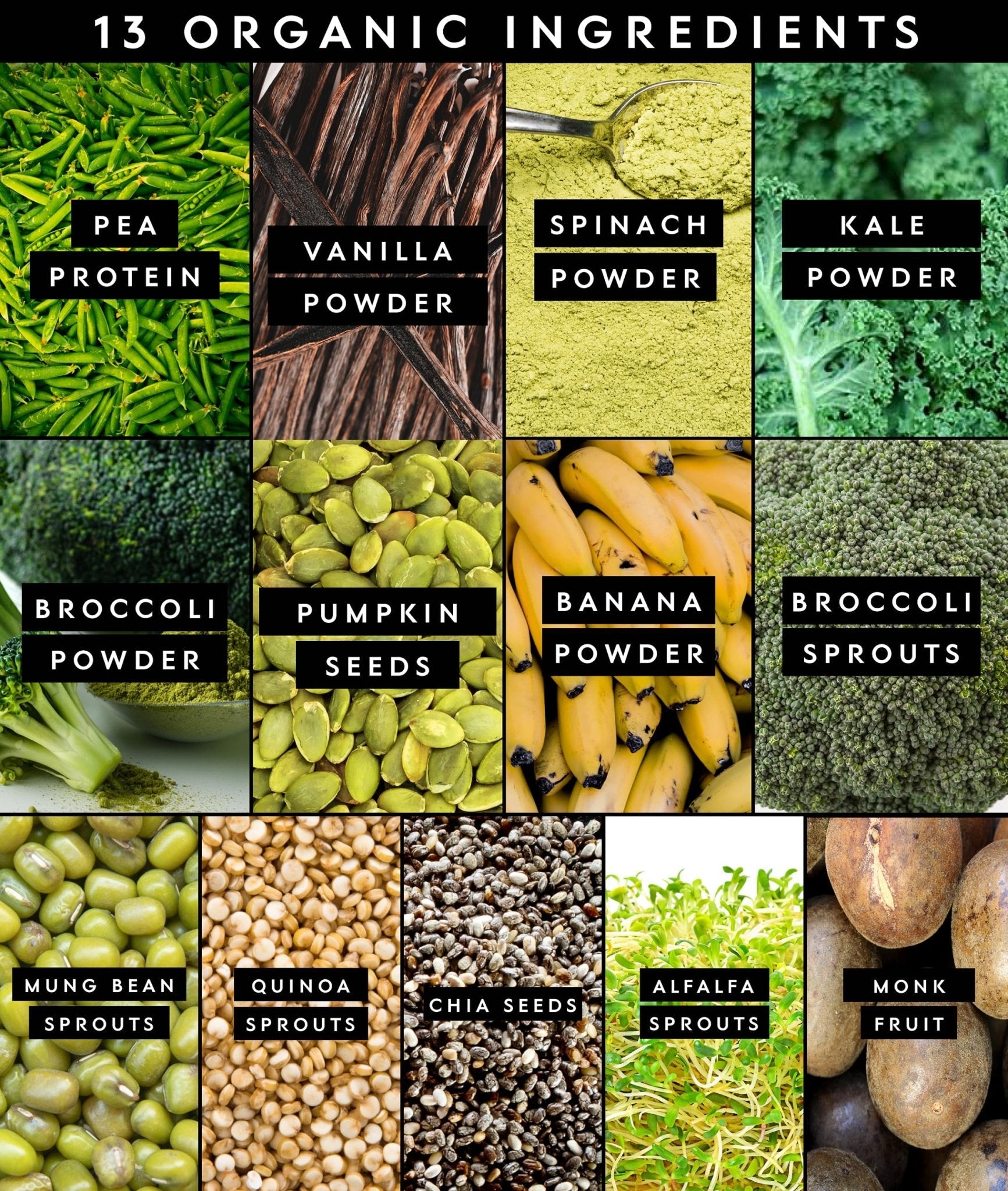 Truvani Protein + Greens Supplement | Spinach, Kale & Broccoli | 10g Organic Plant Based Protein | 20 Servings | USDA Organic | Gluten & Dairy Free - PrimeBioHealth - canada supplements
