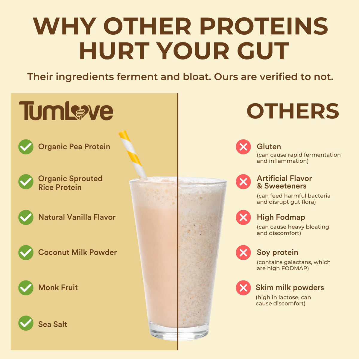 TumLove Vegan Protein Powder - Low FODMAP Certified, Gluten-Free, Dairy-Free, Soy-Free, 100% Gut-Friendly & Non-Bloating, Vanilla (25 Servings) - PrimeBioHealth - canada supplements