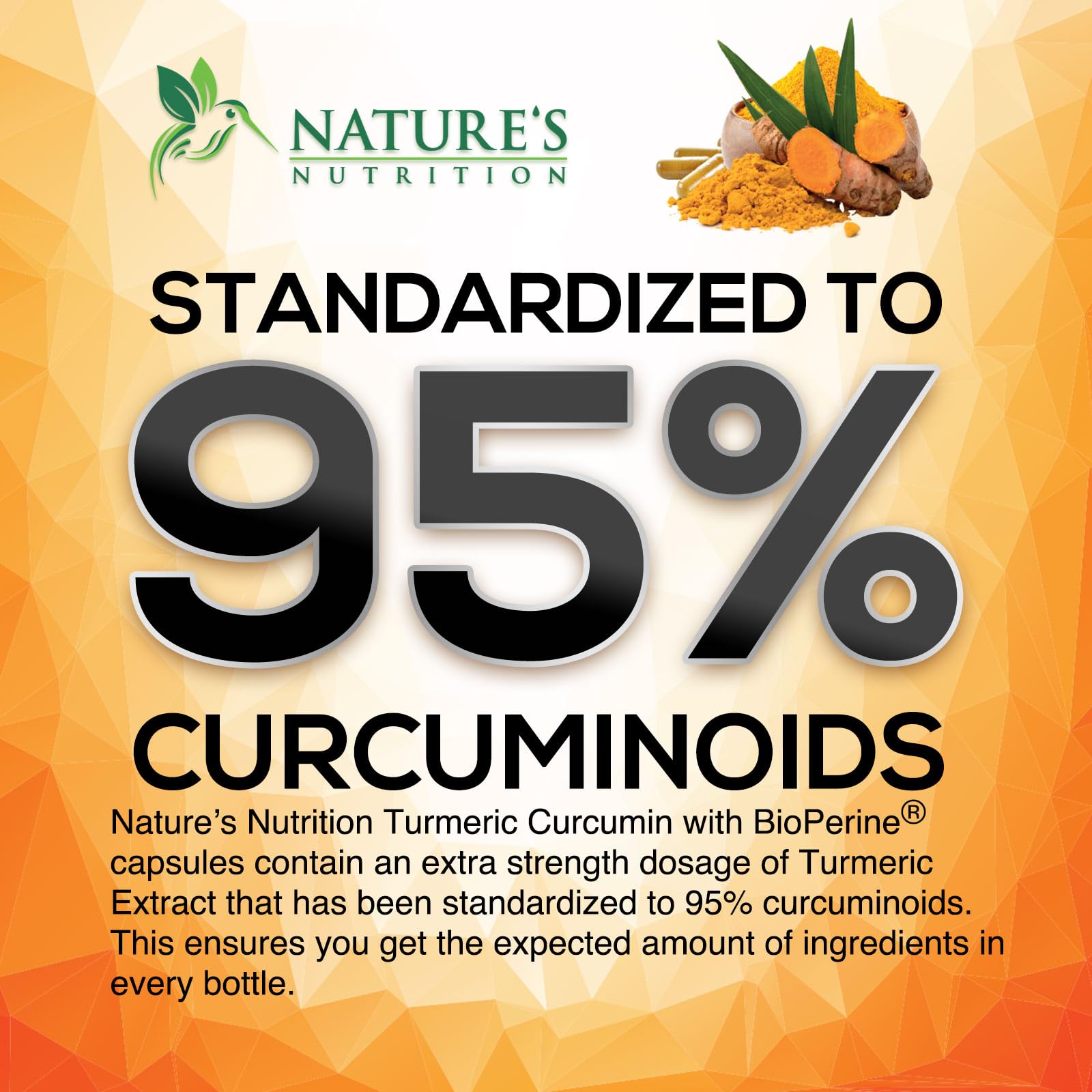 Turmeric Curcumin Supplement - 2400mg Organic Turmeric Per Serving - 95% Curcuminoids & BioPerine Black Pepper Extract for Best Absorption - Natural Vegan Joint Support - PrimeBioHealth - canada supplements