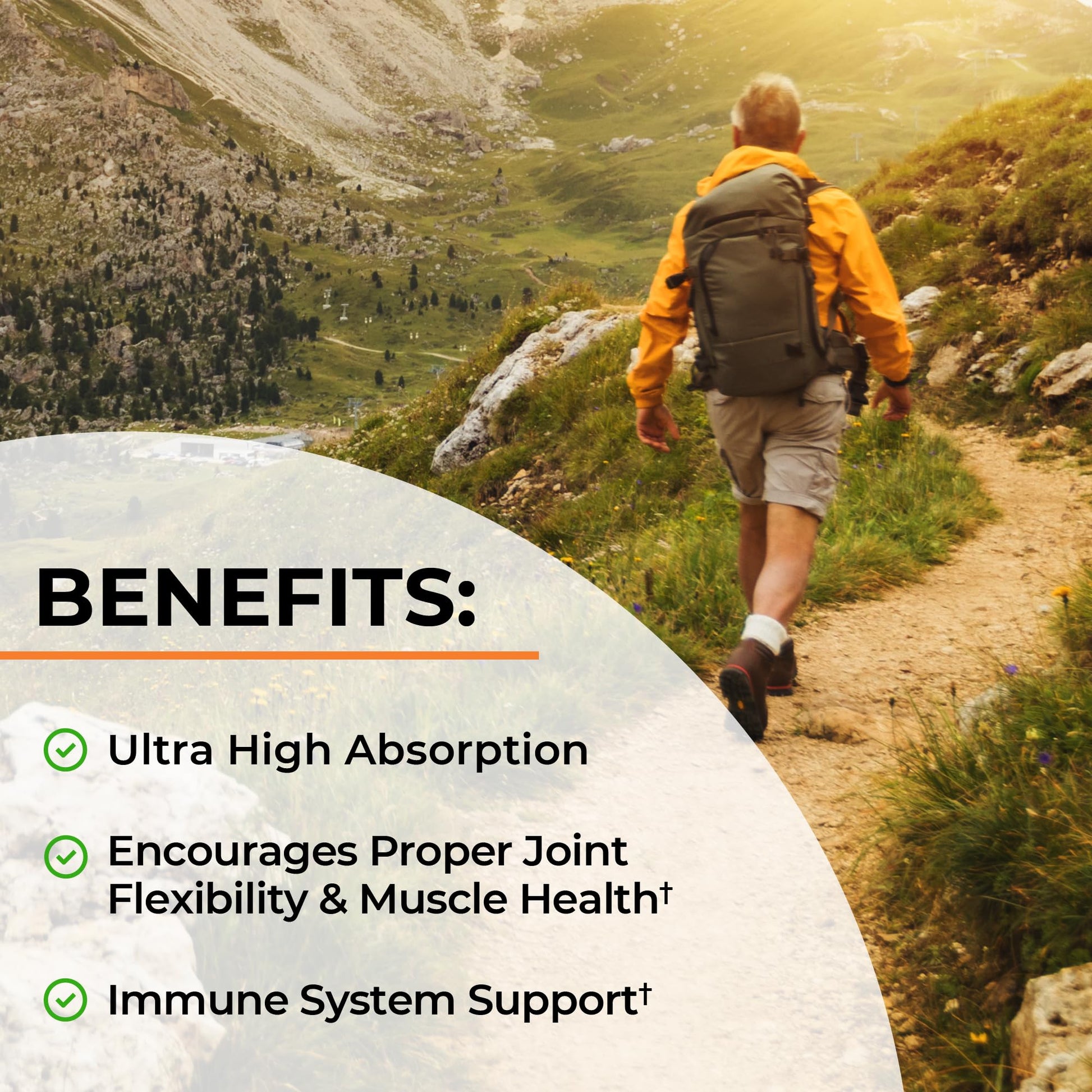 Turmeric Curcumin with Black Pepper Extract 1500mg - High Absorption Ultra Potent Turmeric Supplement with 95% Curcuminoids and BioPerine - PrimeBioHealth - canada supplements
