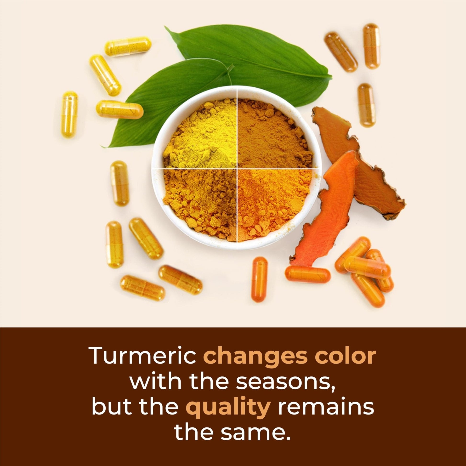 Turmeric with Black Pepper - High Potency Organic 1200mg Turmeric Curcumin Supplement for Joint Support & Digestive Health - Curcumin with Black Pepper - PrimeBioHealth - canada supplements