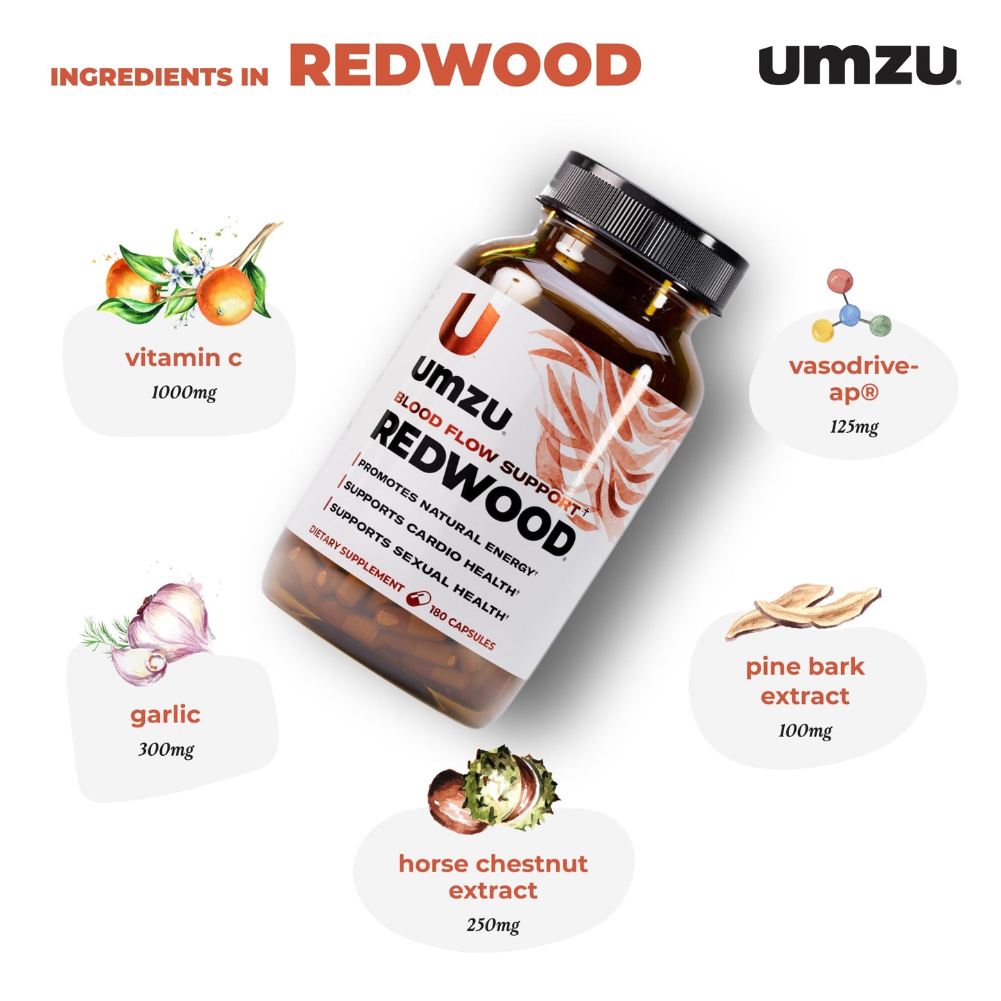 UMZU Redwood Nitric Oxide Booster, (30 Day Supply) – Vitamin C, Garlic & Horse Chestnut – Healthy Circulation & Endurance – Daily Cardiovascular Support Nitric Oxide - PrimeBioHealth - canada supplements