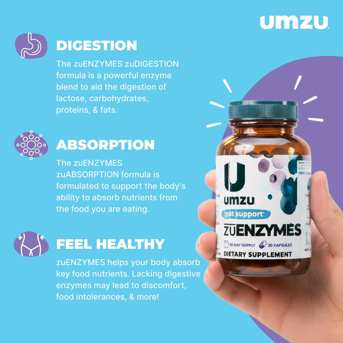 UMZU zuEnzymes Digestive Support Supplement, (30 Day Supply) – 21 Enzyme Blend with Lipase Protease & Amylase – Digestive Enzymes for Gut Health & Probiotic Daily - PrimeBioHealth - canada supplements