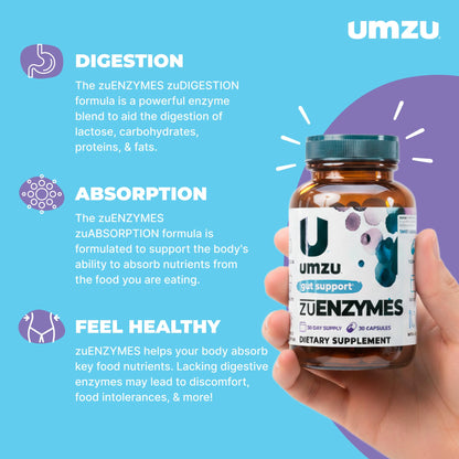 UMZU zuEnzymes Digestive Support Supplement, (30 Day Supply) – 21 Enzyme Blend with Lipase Protease & Amylase – Digestive Enzymes for Gut Health & Probiotic Daily - PrimeBioHealth - canada supplements