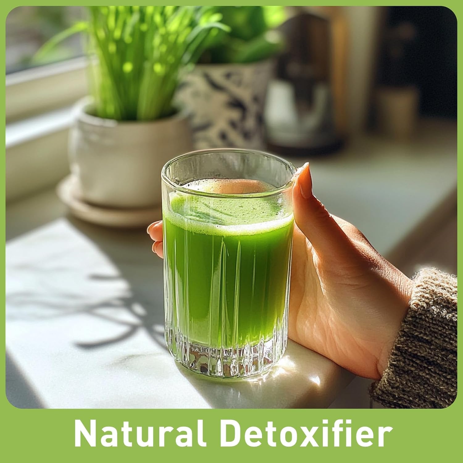 UNLEASH'D ORGANIC Organic Wheatgrass Juice Powder 16oz – 100% Pure Superfood, Immune & Energy Boost, Detox Support - PrimeBioHealth - canada supplements