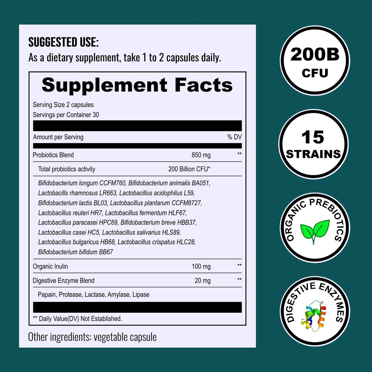 UpNourish Probiotics - 200 Billion CFUs for Men and Women, 15 Clinically Studied Strains, Prebiotics & Enzymes - 60 Vegan Capsules - PrimeBioHealth - canada supplements