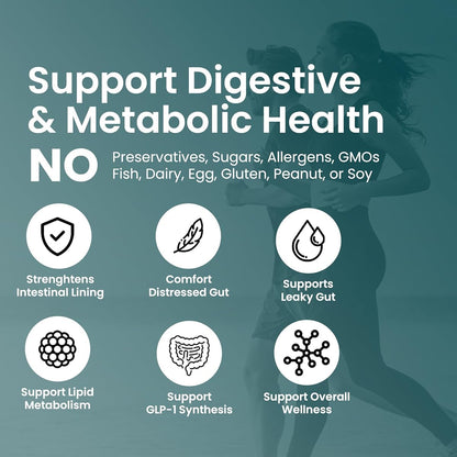 UpNourish Probiotics - 200 Billion CFUs for Men and Women, 15 Clinically Studied Strains, Prebiotics & Enzymes - 60 Vegan Capsules - PrimeBioHealth - canada supplements