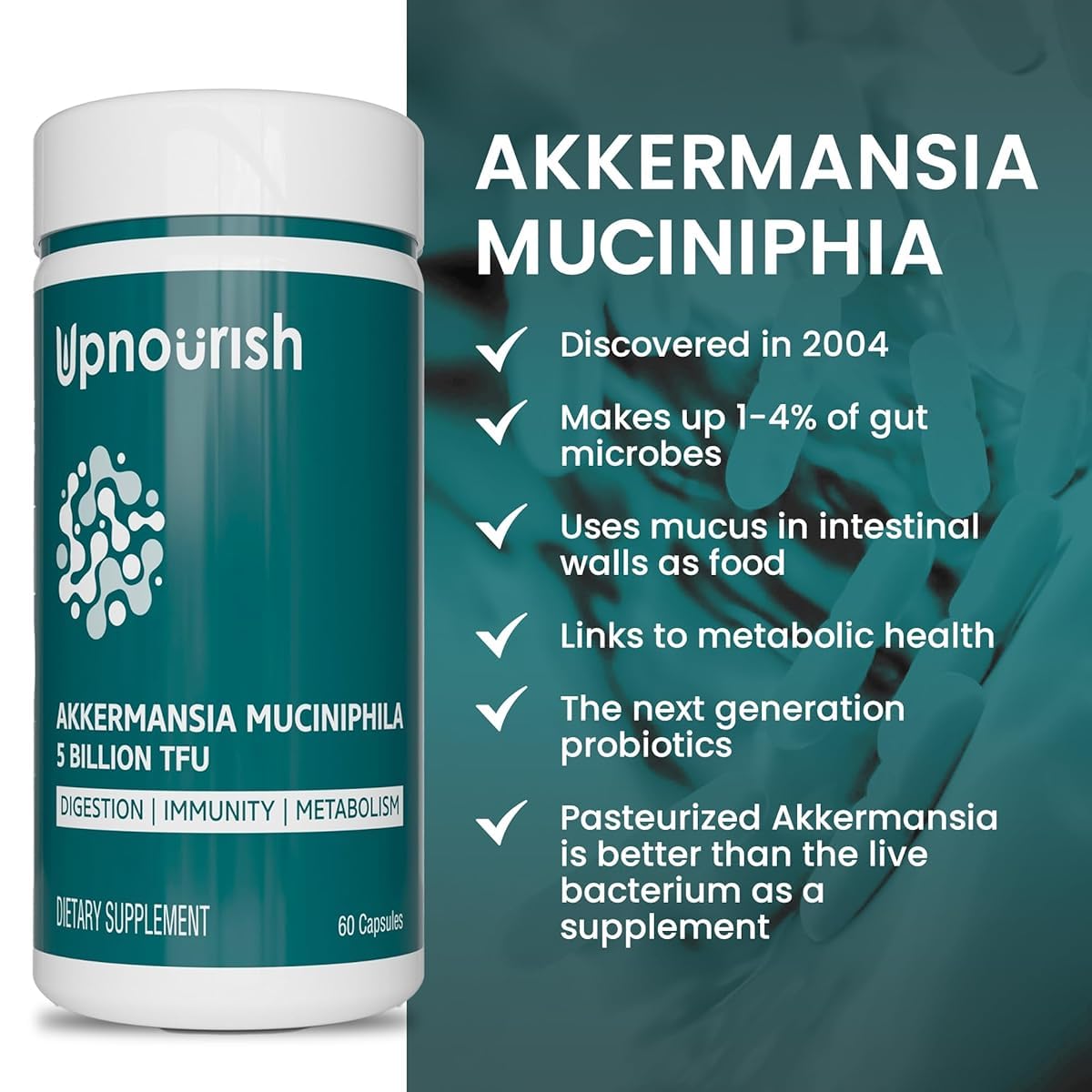 UpNourish Probiotics - 200 Billion CFUs for Men and Women, 15 Clinically Studied Strains, Prebiotics & Enzymes - 60 Vegan Capsules - PrimeBioHealth - canada supplements