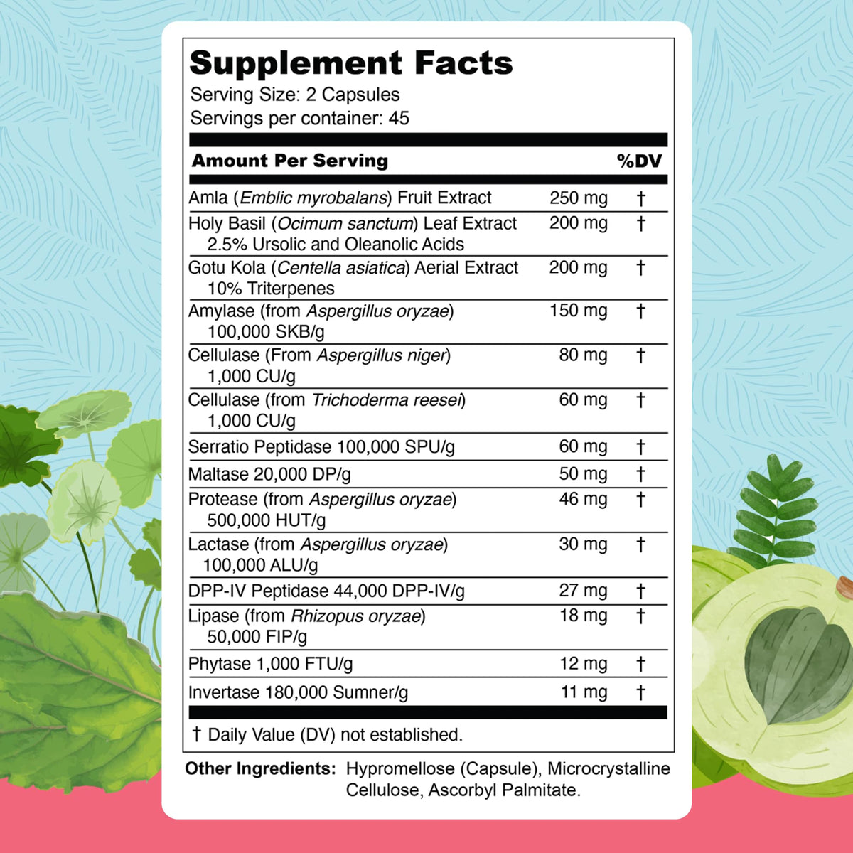 UpWellness Total Revive+ Digestive Enzymes - Broad-Spectrum Enzymes for Digestive Health - Supports Gut Health and Nutrient Absorption - PrimeBioHealth - canada supplements