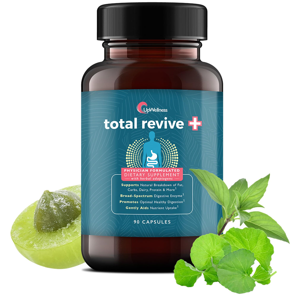 UpWellness Total Revive+ Digestive Enzymes - Broad-Spectrum Enzymes for Digestive Health - Supports Gut Health and Nutrient Absorption - PrimeBioHealth - canada supplements