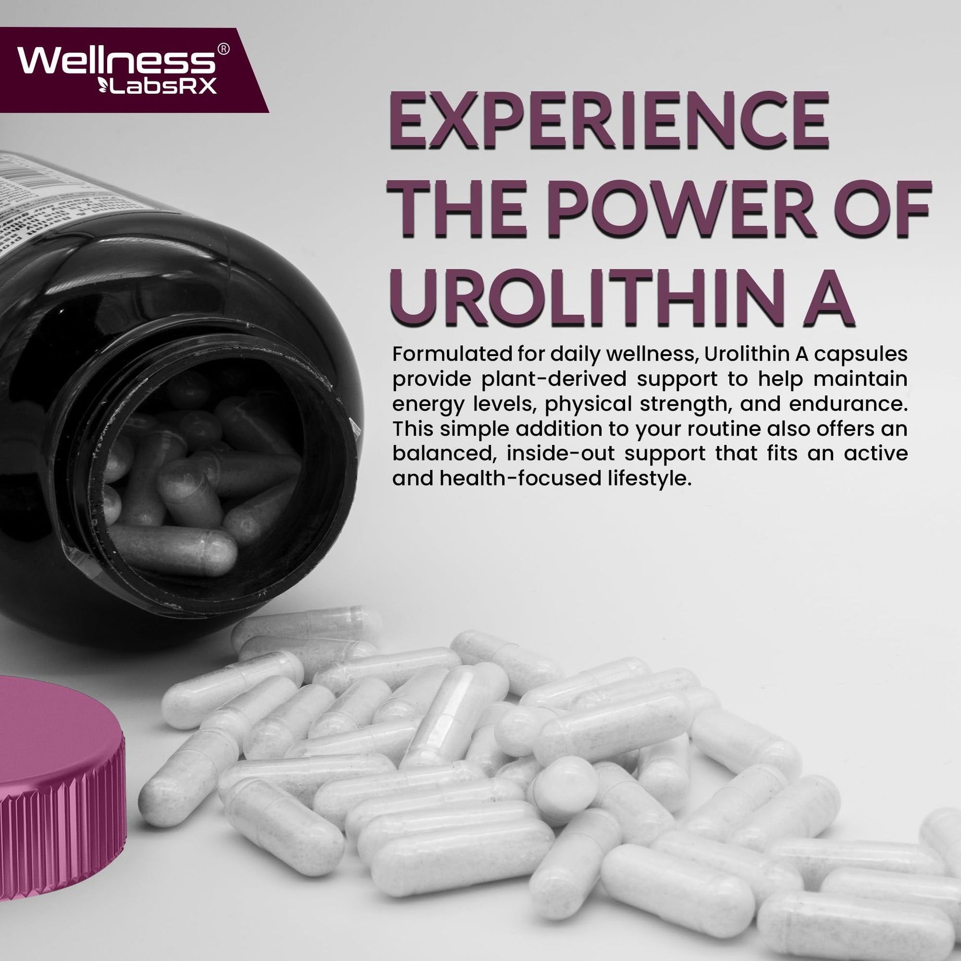 Urolithin A Supplement Capsules 1,000mg (98.9% Pure) – Advanced Urolithin A+ Formula for Cellular Renewal & Mitochondrial Support - PrimeBioHealth - canada supplements