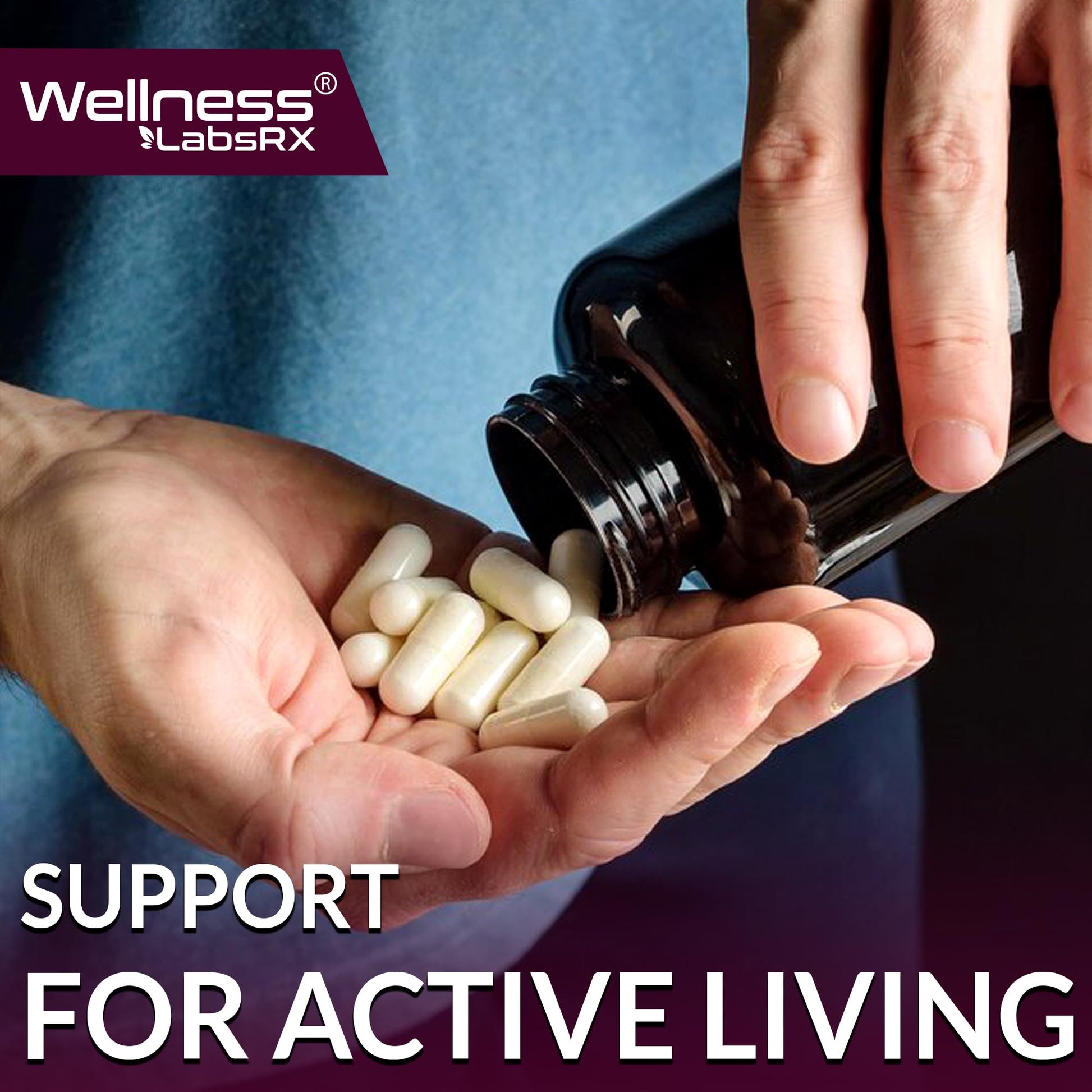 Urolithin A Supplement Capsules 1,000mg (98.9% Pure) – Advanced Urolithin A+ Formula for Cellular Renewal & Mitochondrial Support - PrimeBioHealth - canada supplements