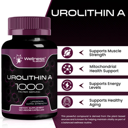 Urolithin A Supplement Capsules 1,000mg (98.9% Pure) – Advanced Urolithin A+ Formula for Cellular Renewal & Mitochondrial Support - PrimeBioHealth - canada supplements