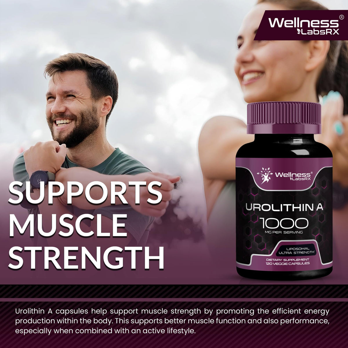 Urolithin A Supplement Capsules 1,000mg (98.9% Pure) – Advanced Urolithin A+ Formula for Cellular Renewal & Mitochondrial Support - PrimeBioHealth - canada supplements