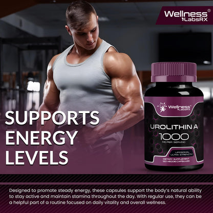 Urolithin A Supplement Capsules 1,000mg (98.9% Pure) – Advanced Urolithin A+ Formula for Cellular Renewal & Mitochondrial Support - PrimeBioHealth - canada supplements