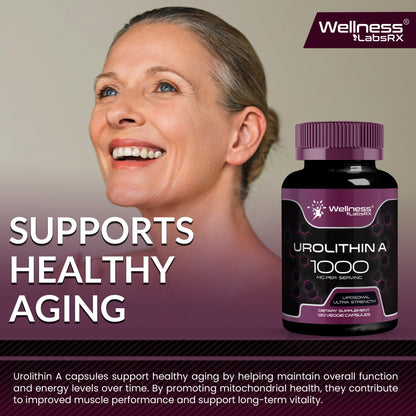 Urolithin A Supplement Capsules 1,000mg (98.9% Pure) – Advanced Urolithin A+ Formula for Cellular Renewal & Mitochondrial Support - PrimeBioHealth - canada supplements