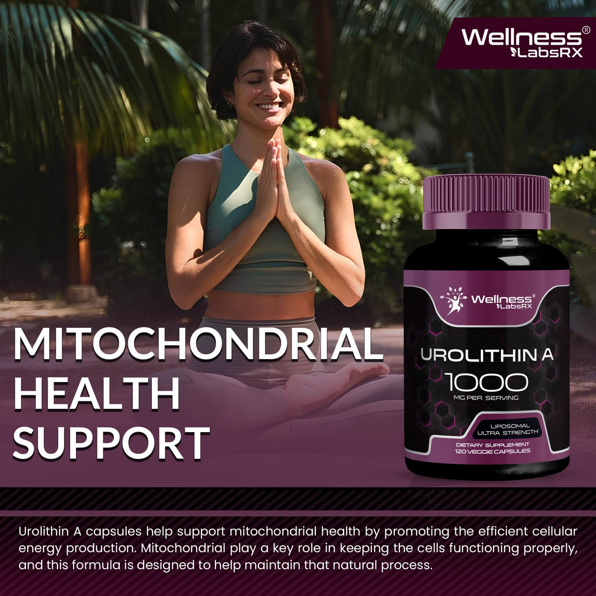 Urolithin A Supplement Capsules 1,000mg (98.9% Pure) – Advanced Urolithin A+ Formula for Cellular Renewal & Mitochondrial Support - PrimeBioHealth - canada supplements