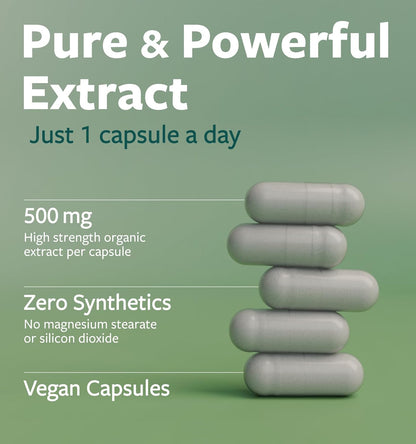USDA Organic Moringa Capsules - High Potency Organic Moringa 500mg Extract 10:1 Per 1 Capsule Serving - Nutrient Dense Green Superfood Antioxidant - Vegan & Non-GMO Moringa (4 Month Supply) - PrimeBioHealth - canada supplements