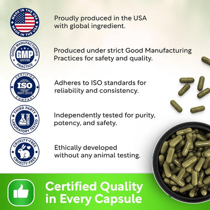 USDA Organic Spearmint Capsules | Digestive Support, 1200mg | 60-Day Supply - PrimeBioHealth - canada supplements