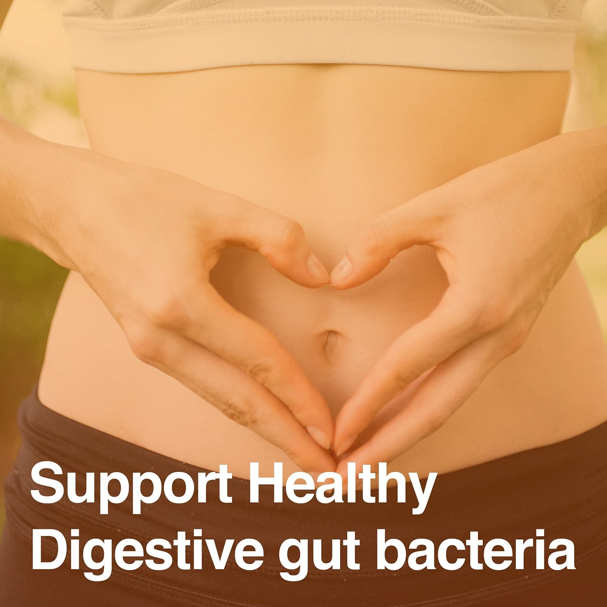 Vatellia Life New from Eaters Digest | Prebiotic | Probiotic | Digestive Support | Gut Soothing | Healthy Gut Lining | Max Nutrient Absorption - PrimeBioHealth - canada supplements
