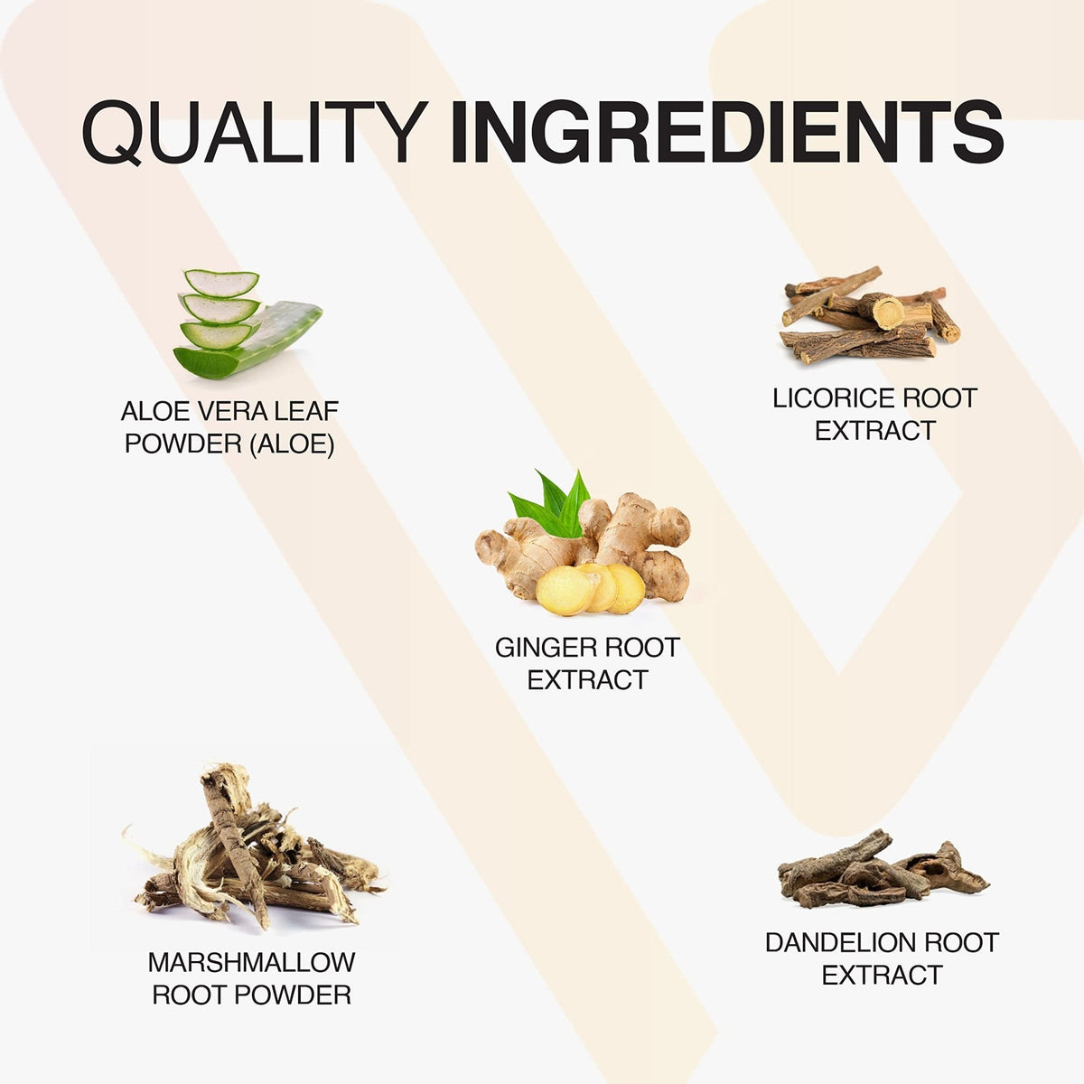 Vatellia Life New from Eaters Digest | Prebiotic | Probiotic | Digestive Support | Gut Soothing | Healthy Gut Lining | Max Nutrient Absorption - PrimeBioHealth - canada supplements