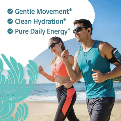 VDY Sea Moss Electrolytes Powder Packets - Hydration Packets Sugar Free - Electrolyte Packets with 30 Sticks - Zero Sugar & 0 Calorie - Keto Friendly - PrimeBioHealth - canada supplements