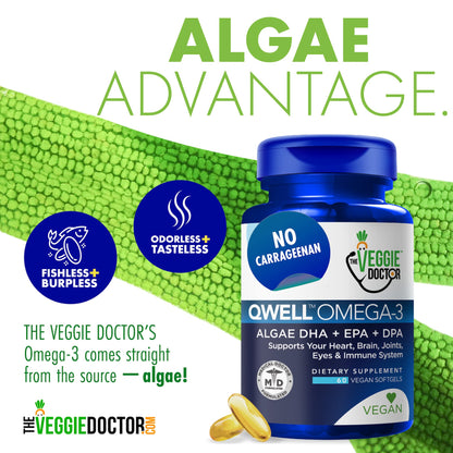 Vegan Omega 3 Supplement – Algae Omega 3 with DHA EPA DPA – Vegan Capsules from Algal – Fish Oil Alternative – Plant-Based Algae Oil Formula – Non-GMO - PrimeBioHealth - canada supplements