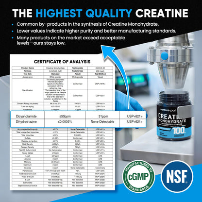 Venture Pal 100% Pure Micronized Creatine Monohydrate Powder, Unflavored Creatine for Women & Men, Vegan, Keto, Gluten Free, 5 g (5000mg) per Serving - PrimeBioHealth - canada supplements
